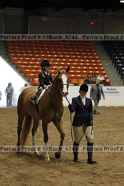 Proof 11buck_6744