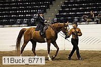 11buck_6771 proof