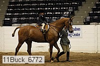 11buck_6772 proof
