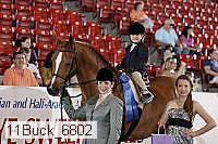 11buck_6802 proof