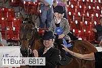 11buck_6812 proof