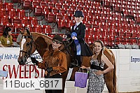 11buck_6817 proof