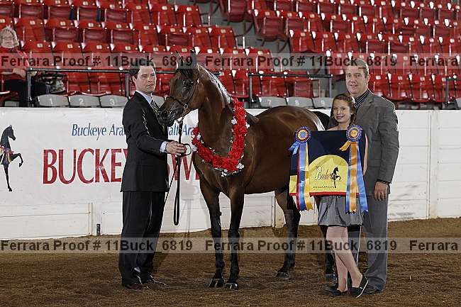 Proof 11buck_6819