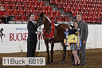 11buck_6819 proof