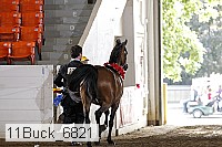 11buck_6821 proof