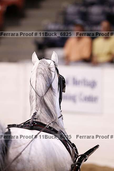 Proof 11buck_6825