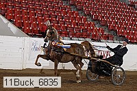 11buck_6835 proof