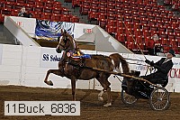 11buck_6836 proof