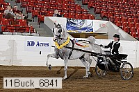 11buck_6841 proof