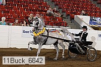 11buck_6842 proof