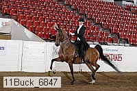 11buck_6847 proof