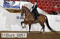 11buck_6851 proof