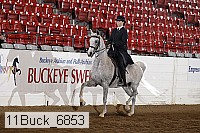 11buck_6853 proof
