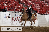 11buck_6854 proof