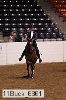 11buck_6861 proof