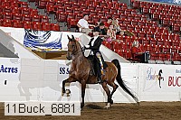 11buck_6881 proof
