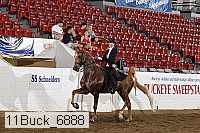 11buck_6888 proof