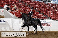 11buck_6889 proof