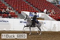 11buck_6893 proof