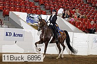 11buck_6895 proof