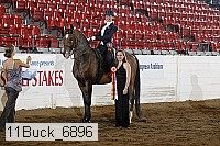 11buck_6896 proof