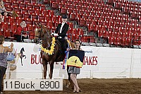 11buck_6900 proof