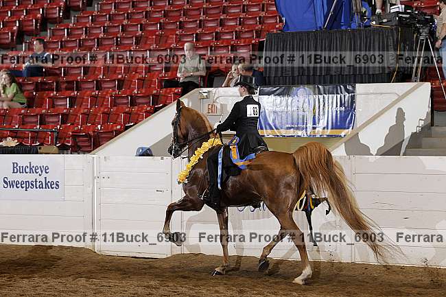 Proof 11buck_6903