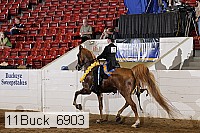 11buck_6903 proof