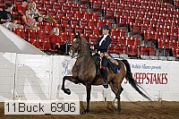 11buck_6906 proof