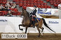 11buck_6908 proof