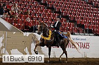 11buck_6910 proof