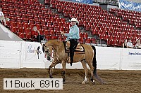 11buck_6916 proof