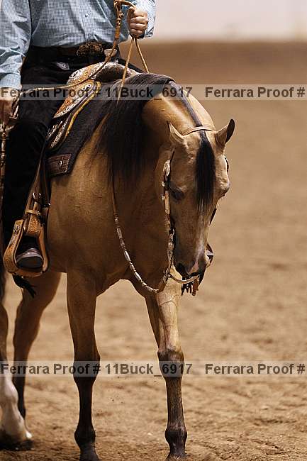 Proof 11buck_6917