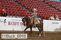11buck_6918 proof