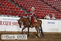 11buck_6920 proof