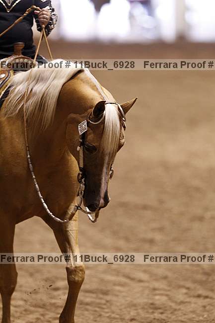 Proof 11buck_6928