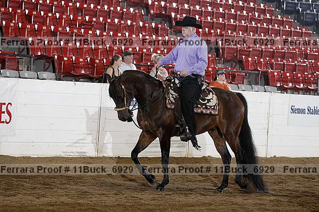 Proof 11buck_6929