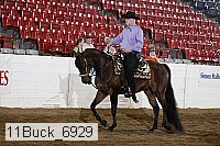 11buck_6929 proof