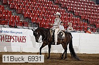 11buck_6931 proof