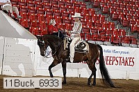 11buck_6933 proof