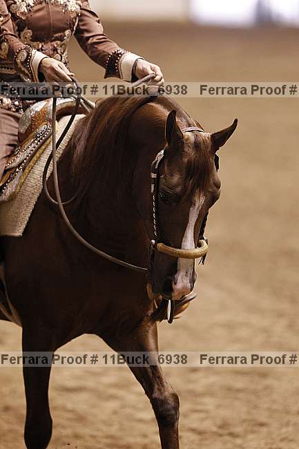 Proof 11buck_6938
