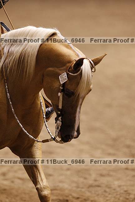 Proof 11buck_6946