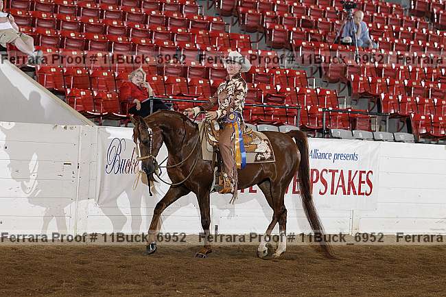 Proof 11buck_6952