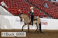 11buck_6955 proof