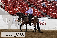 11buck_6960 proof