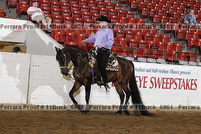 Proof 11buck_6961