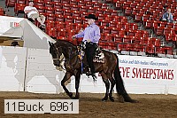 11buck_6961 proof