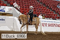 11buck_6966 proof