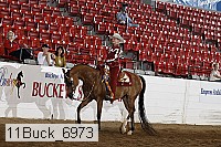 11buck_6973 proof