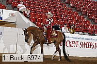 11buck_6974 proof